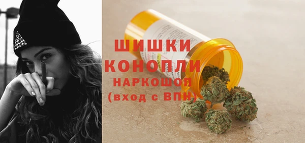 прущие крисы Елизово