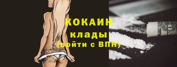 прущие крисы Елизово
