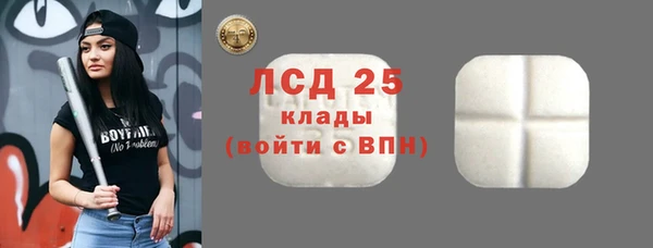 прущие крисы Елизово