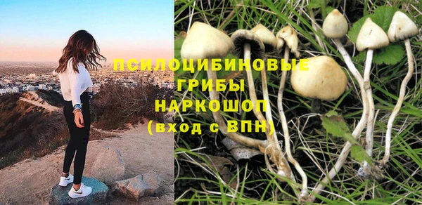 наркотики Заводоуковск